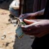 Airtel Money Betting Sites Africa 2026: The Full Guide